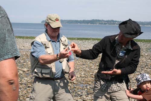 Beach Naturalist Guides
